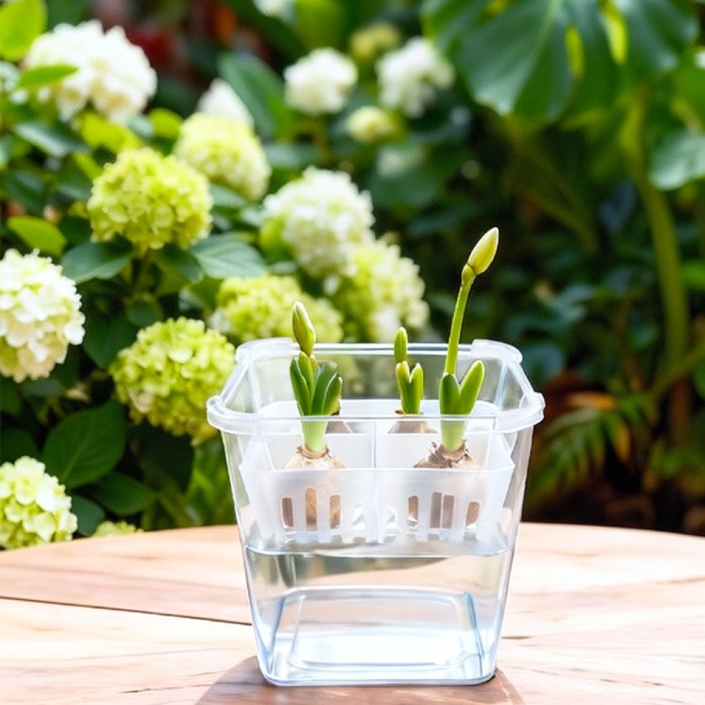 กระถางไฮโดรโปนิกส์สำหรับปลูกทิ - Vase Decor บทวิจารณ์และราคา